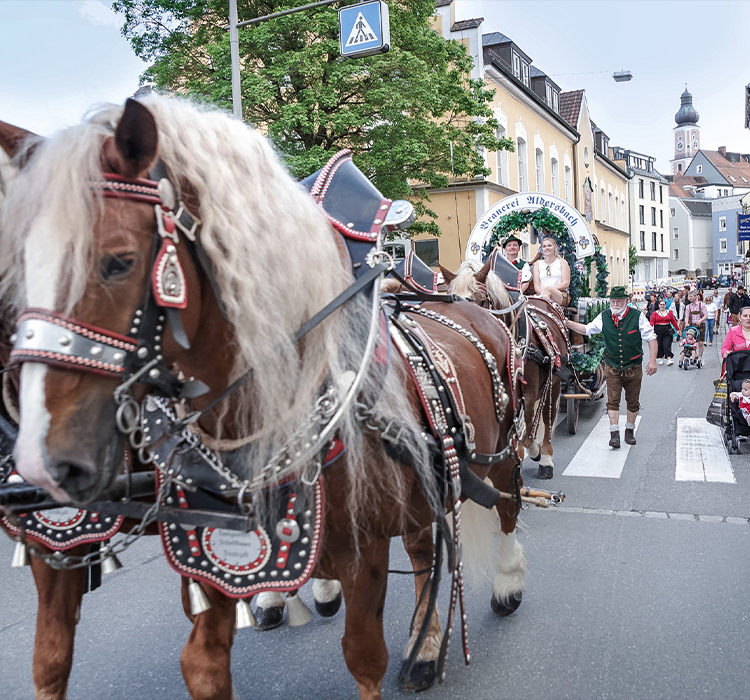 Frühlingsfest Cham Festumzug